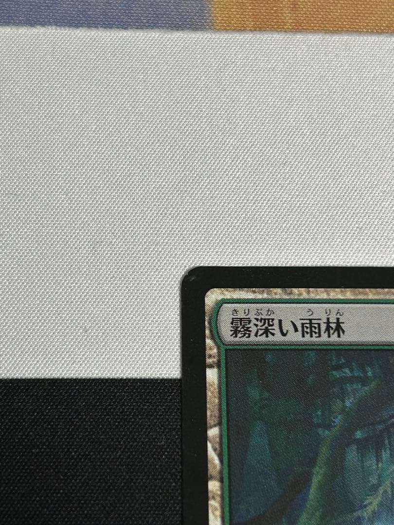 MTG 霧深い雨林　4枚セット