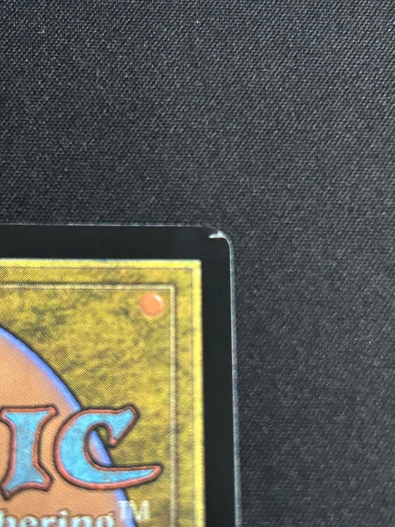 MTG 霧深い雨林　4枚セット