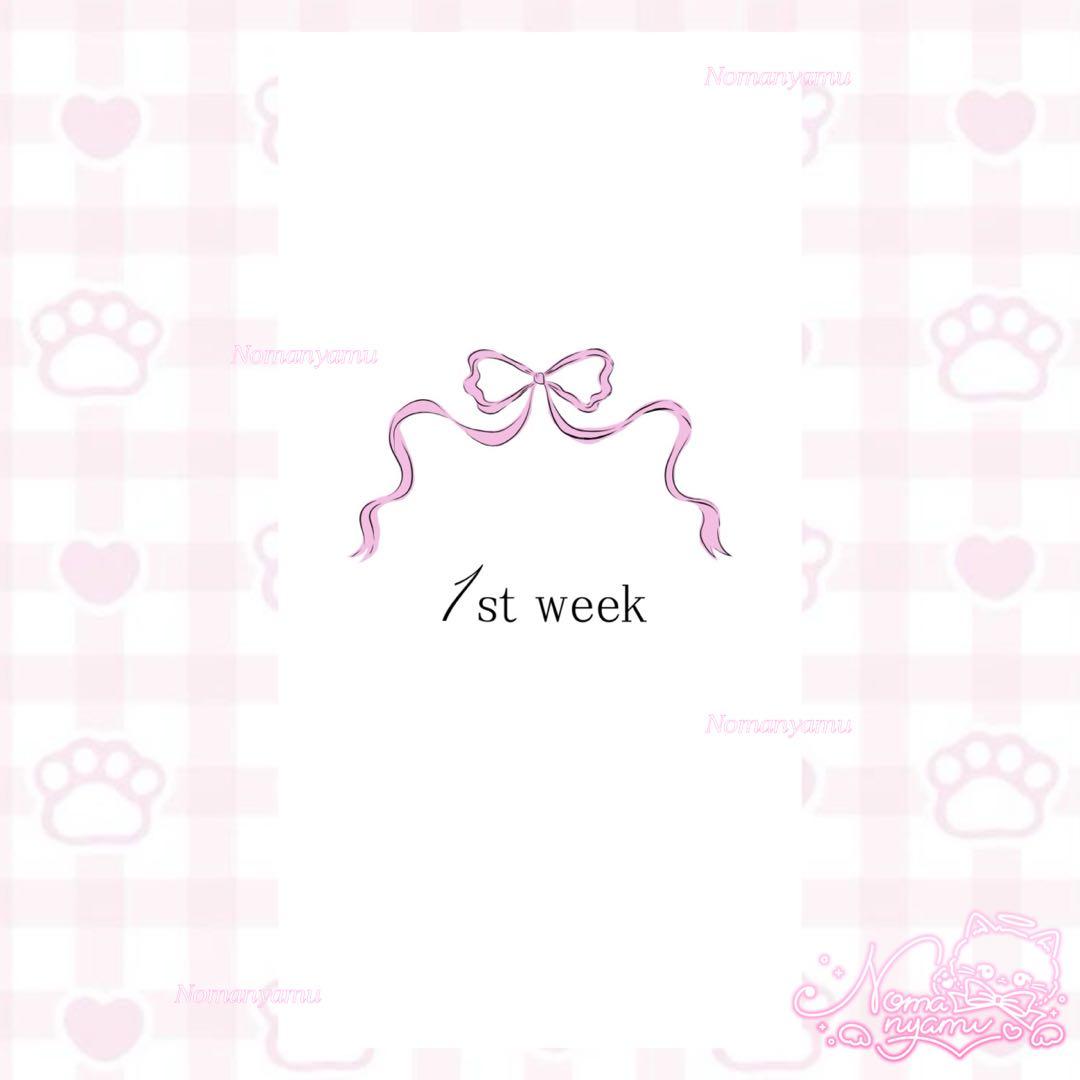 アクリルバインダー　saving バインダー　韓国　貯金バインダー