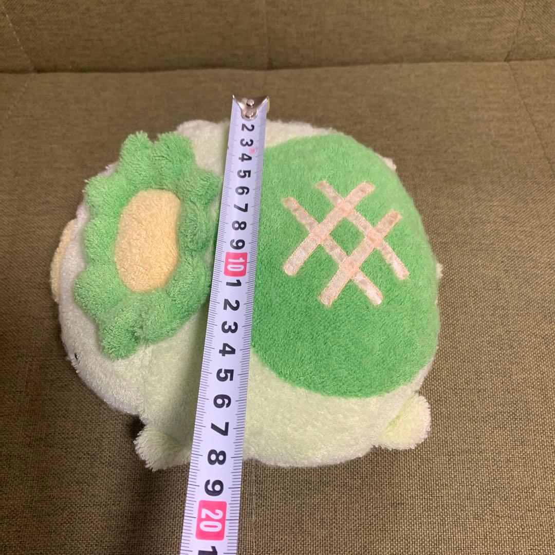 希少品　レア　ましゅまろせらぴ　フリッカ　fricca カッパ　もちもちシリーズ