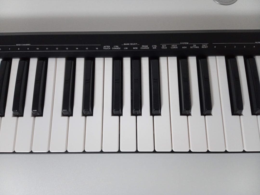 Roland A-49/BK MIDIキーボード ブラック