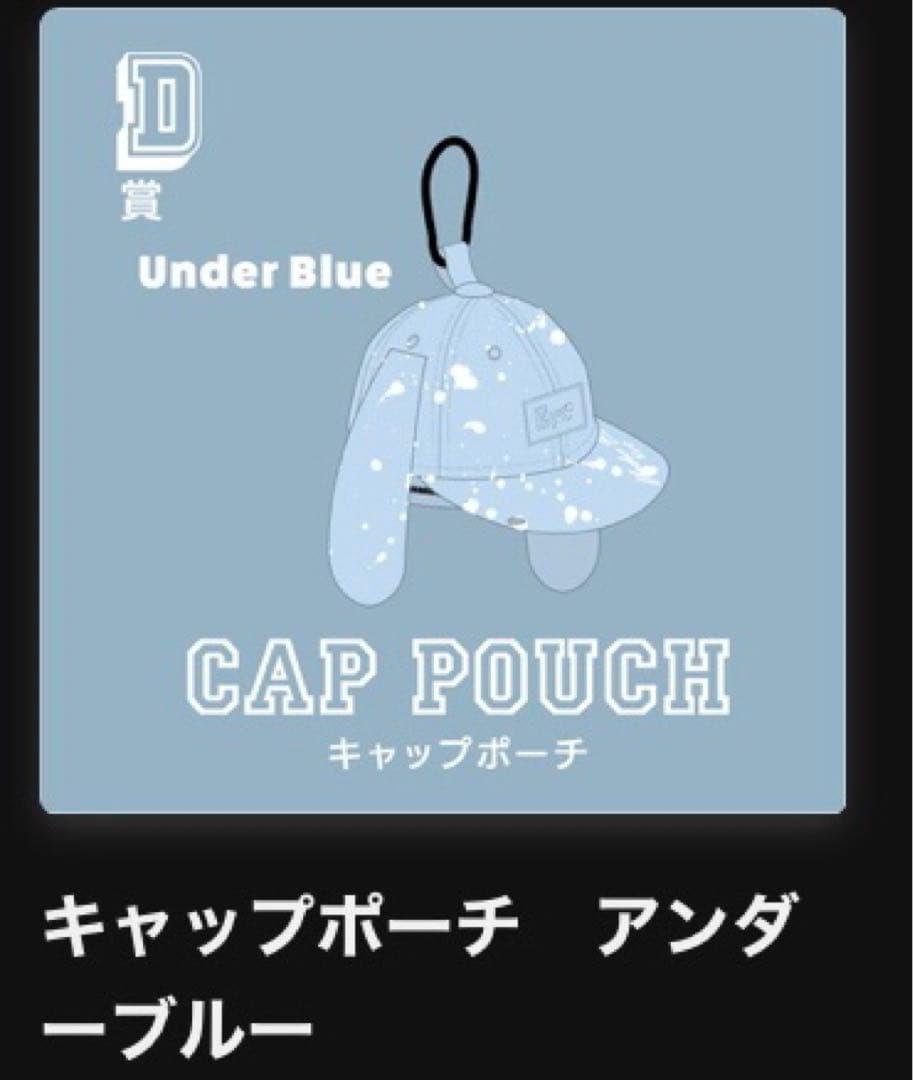 Eve UNDERCOVER くじ D賞 キャップポーチ