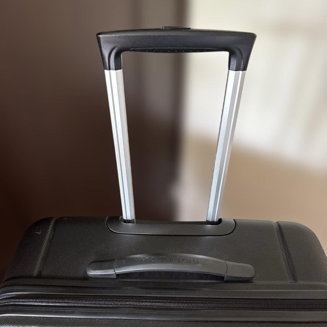 カメレオン　幾何学模様 ブラック キャリーケース　L