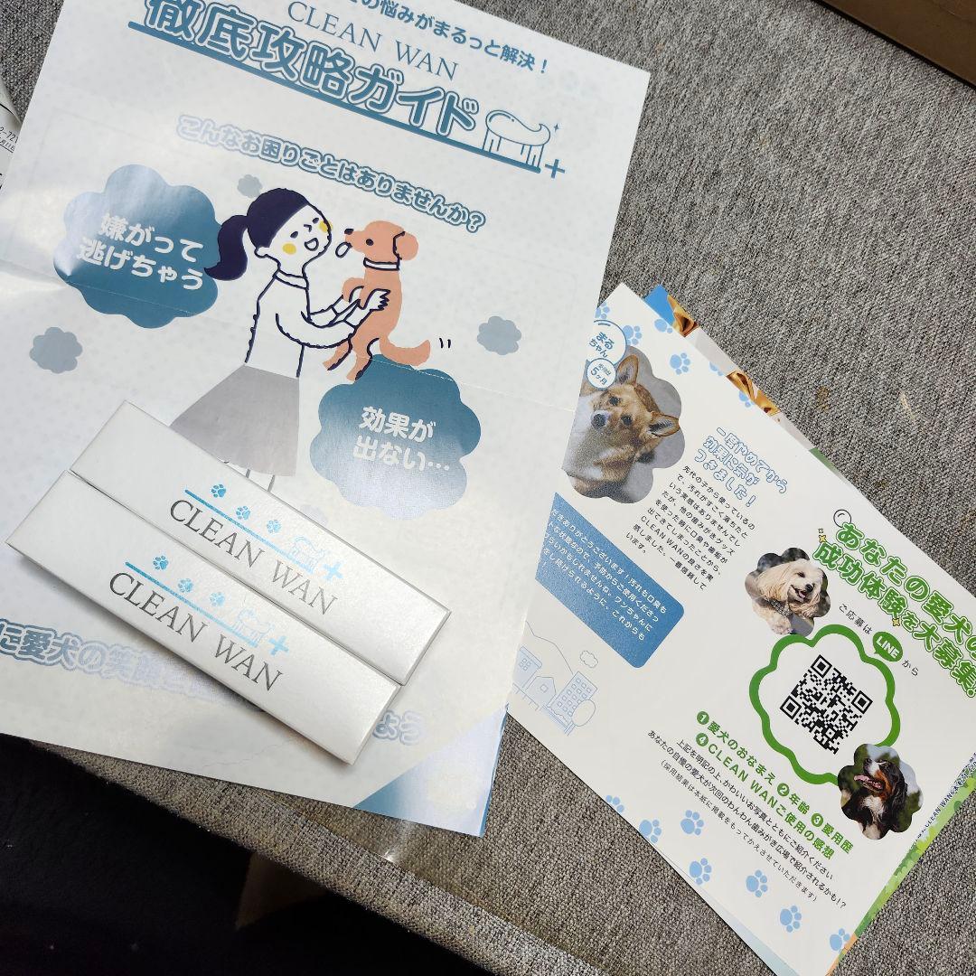 CLEAN WAN デンタルケア 2本セット