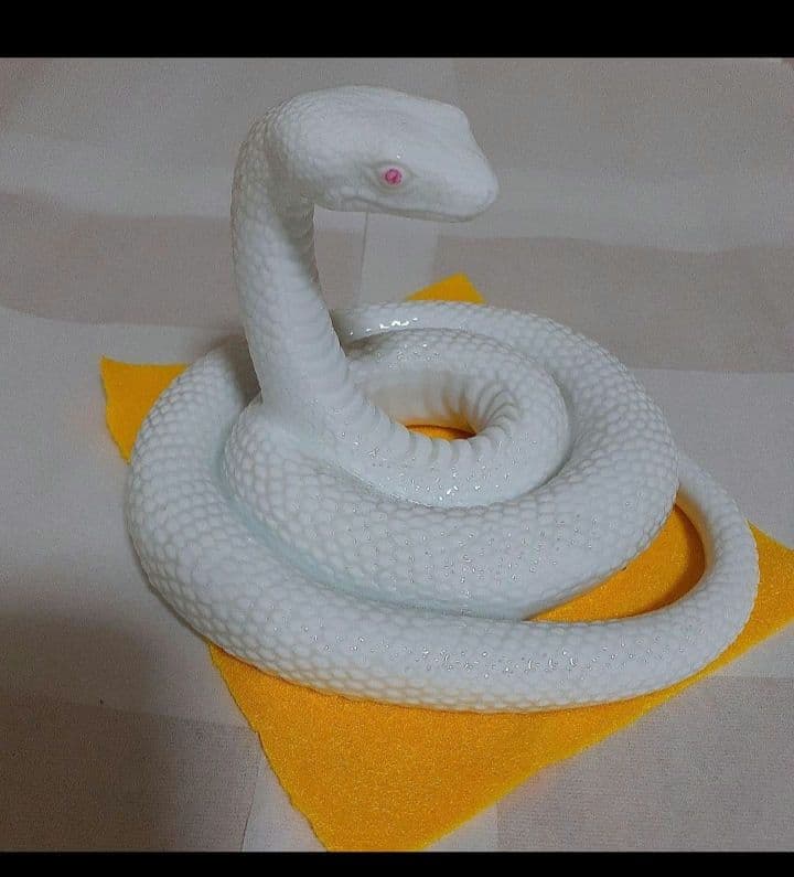 シロヘビ　白蛇　金運財運　巳神