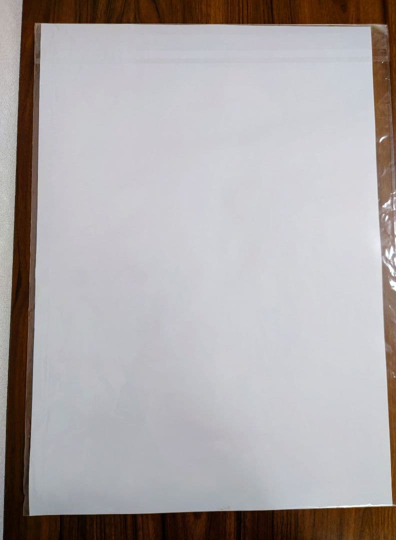 VA Summer Pockets 久島鴎 A2クリアポスター サマポケ key