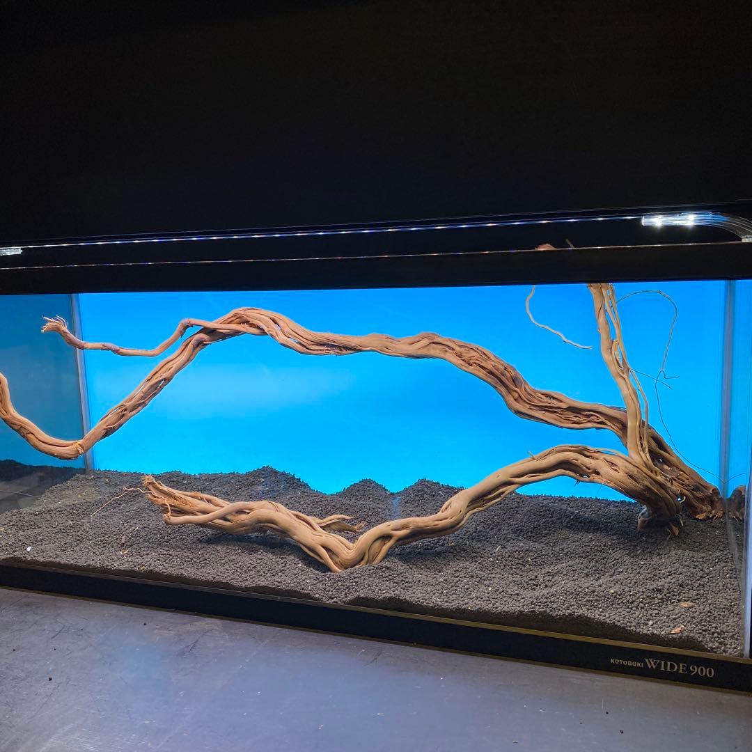 MTW-6751 蔦流木2本セット　90cm水槽用流木　アクアリウム