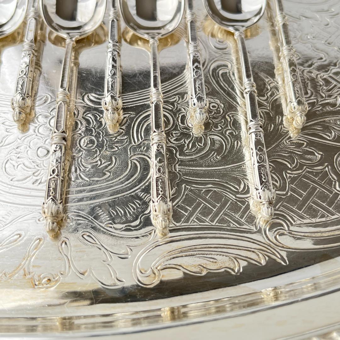 【SFAM】 ロシア様式のデミタススプーン 12本組 仏蘭西 10cm ケース