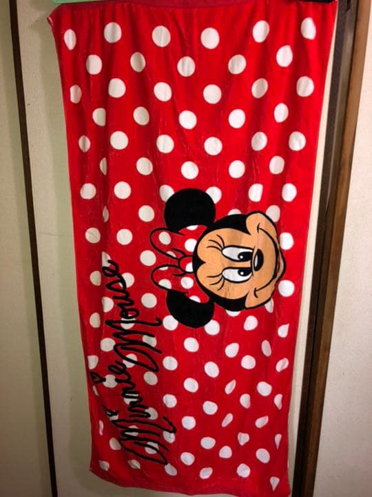 ディズニーリゾート　ミニービーチバス、フェイスタオルセット