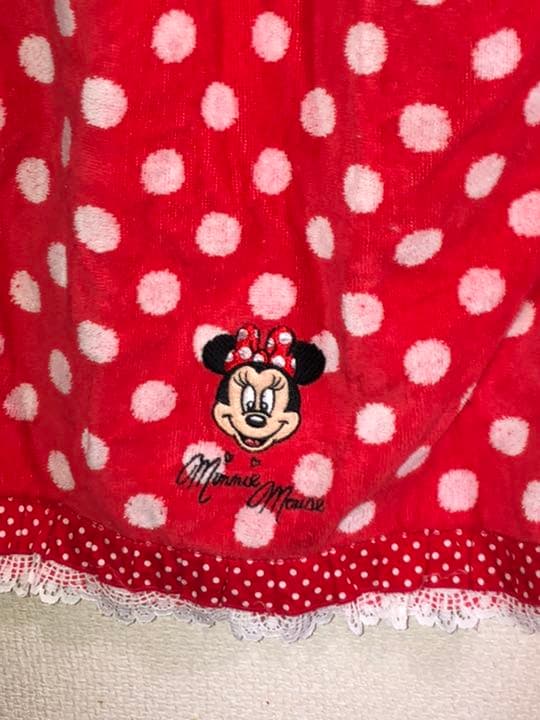 ディズニーリゾート　ミニービーチバス、フェイスタオルセット