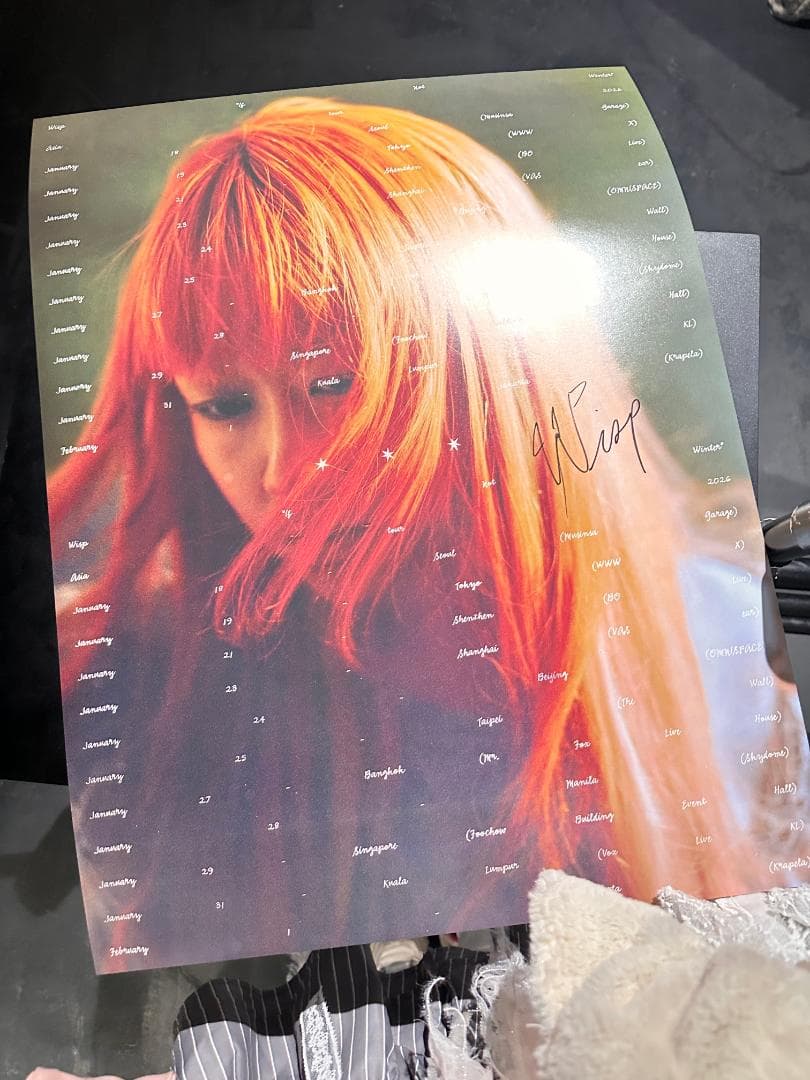 WISP ライブ 2026 サイン入り ポスター A2