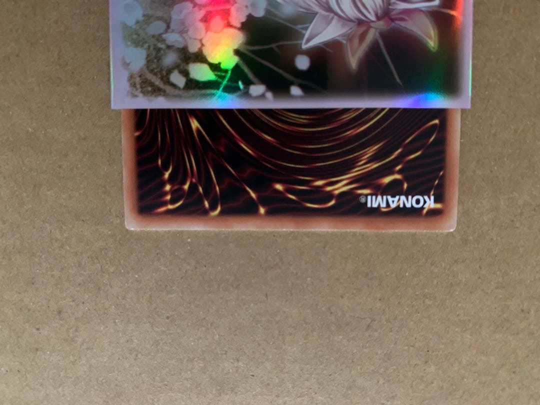 ロゼ、レイ、超融合20th、おまけロゼシークレット