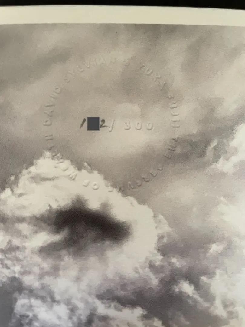 David Sylvian The Perfume of Wealth　サイン付