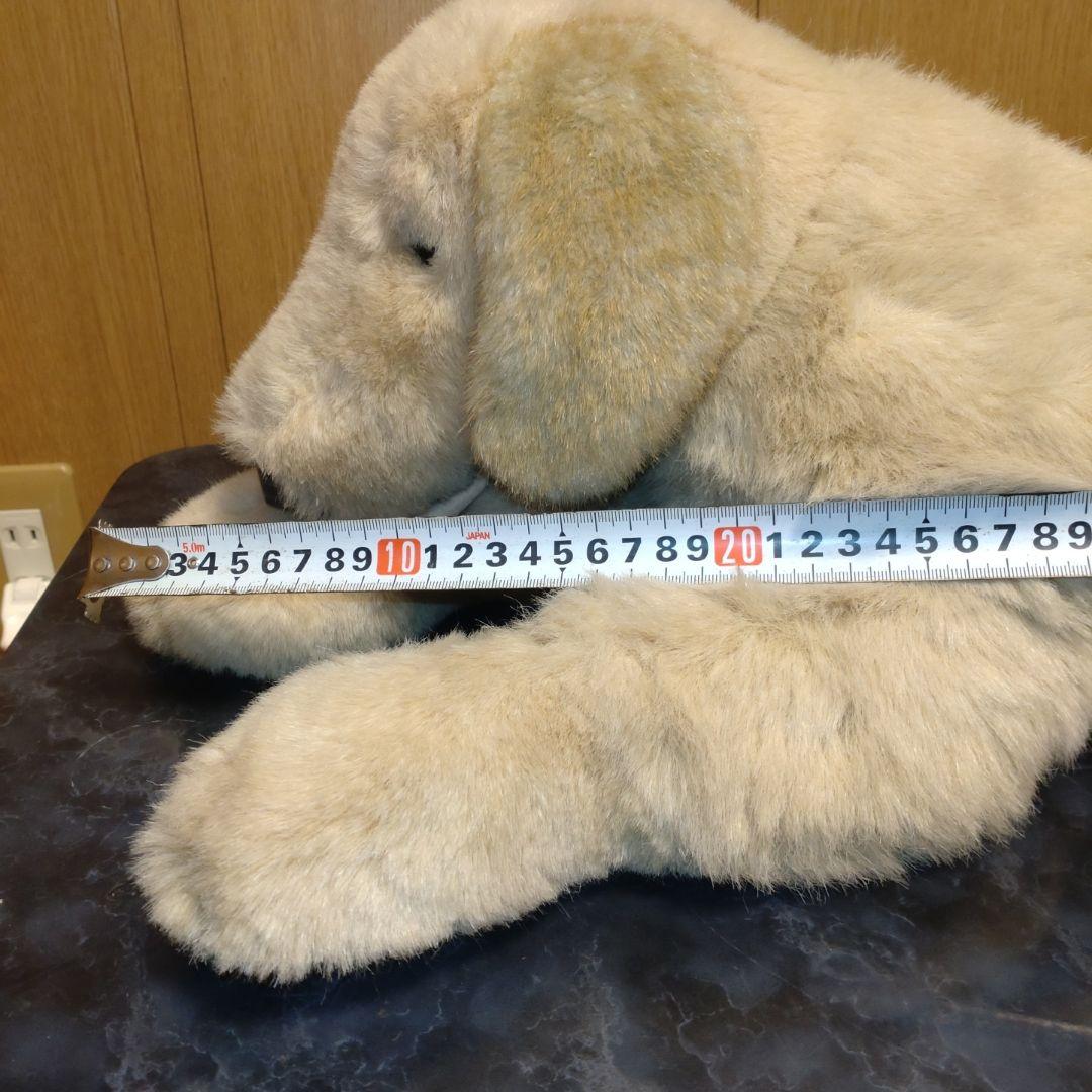 吉徳　ゴールデンレトリバー