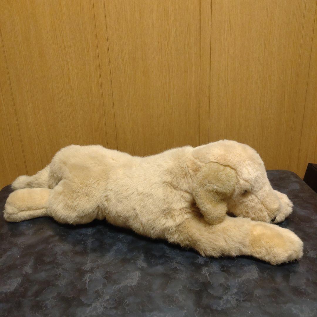 吉徳　ゴールデンレトリバー