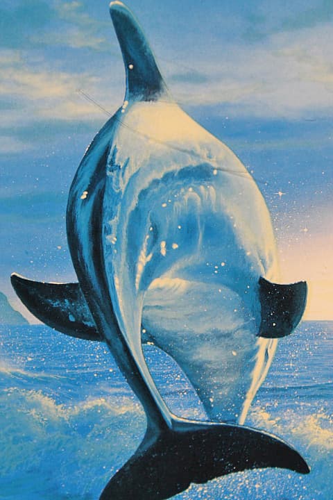 ラッセン【エタニティ】ミクスドメディア 証明書有り