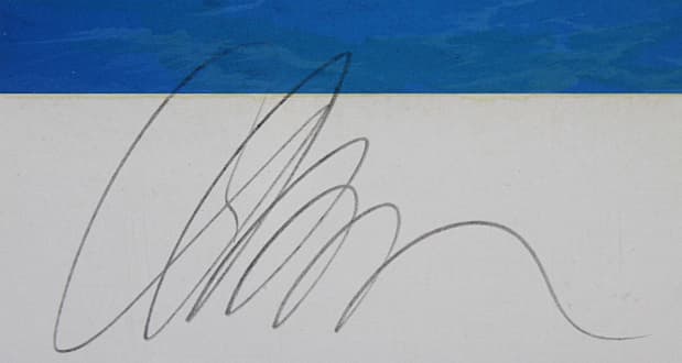 ラッセン【エタニティ】ミクスドメディア 証明書有り