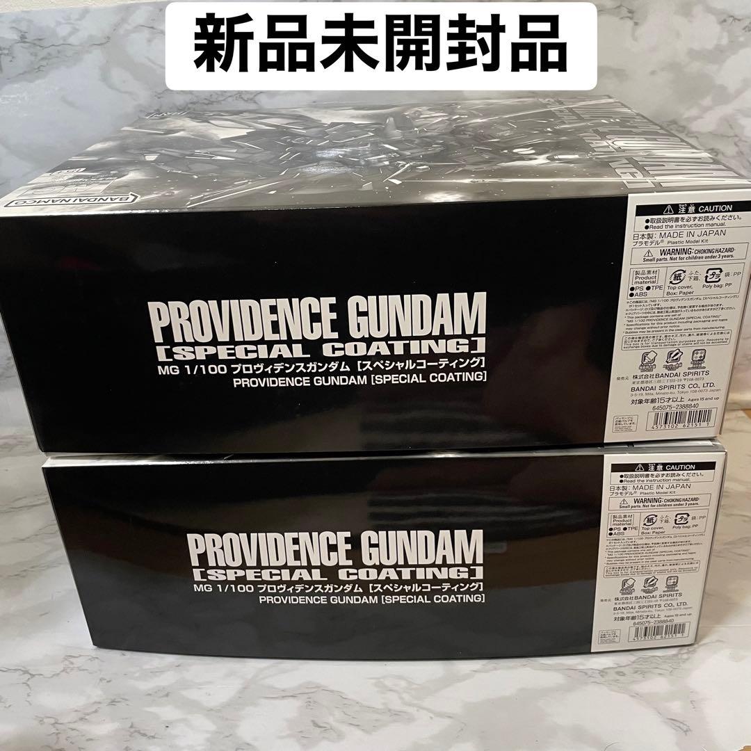 ＭＧ 1/100 プロヴィデンスガンダム [スペシャルコーティング] 2セット