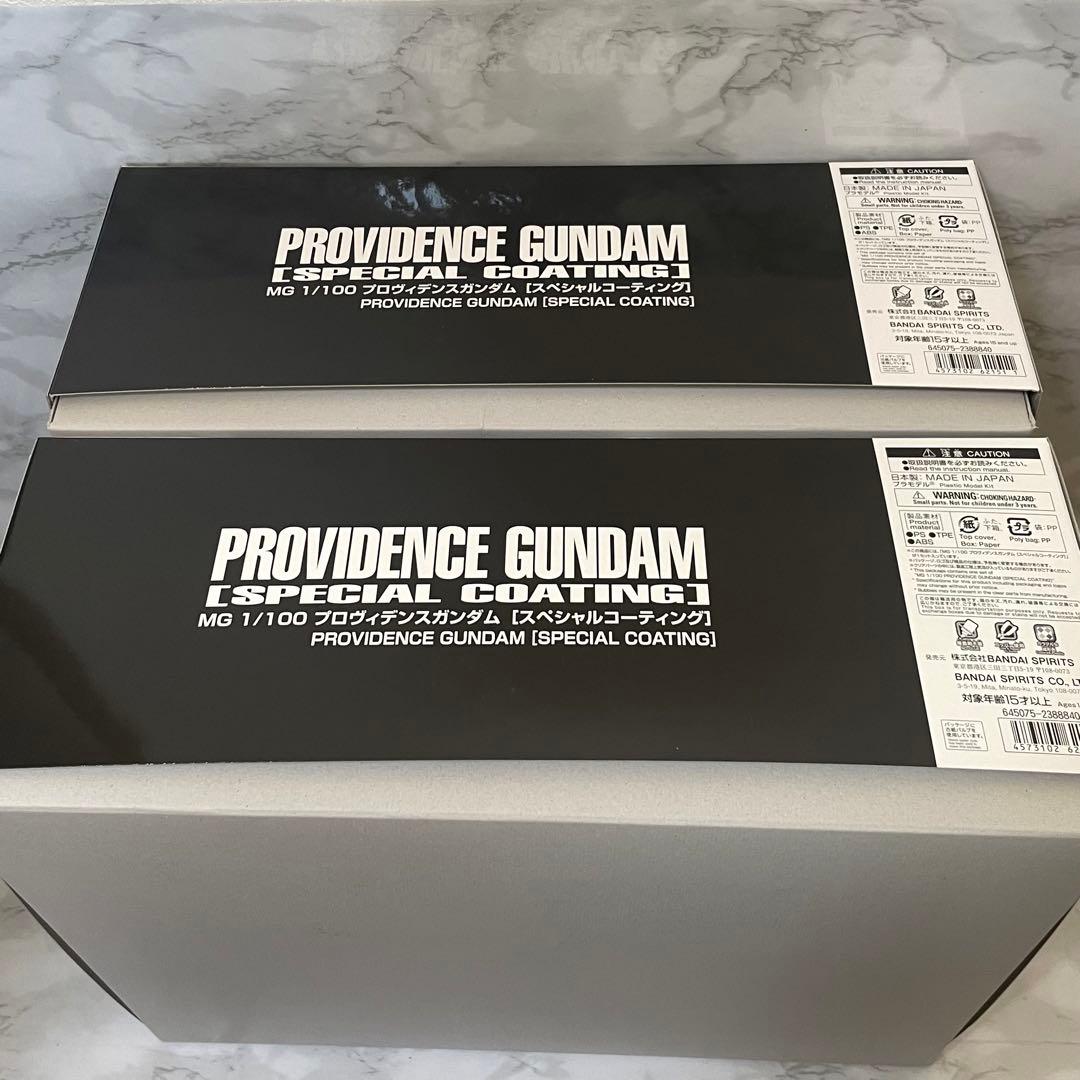 ＭＧ 1/100 プロヴィデンスガンダム [スペシャルコーティング] 2セット