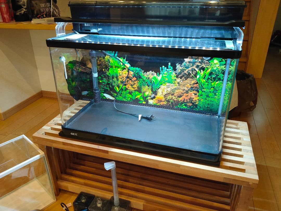 GEX 60cm ガラス水槽 豪華フルセット グランテ 600