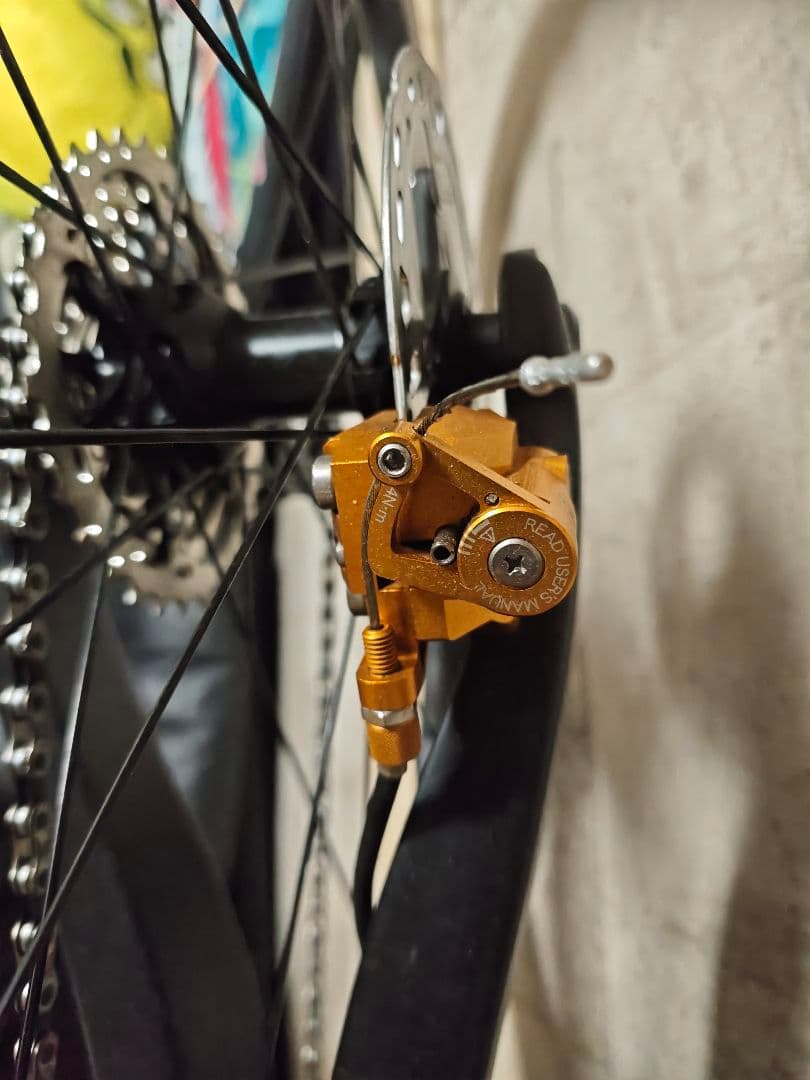 楽しく生きたい　ceepo shadow 2018年モデル　完成車