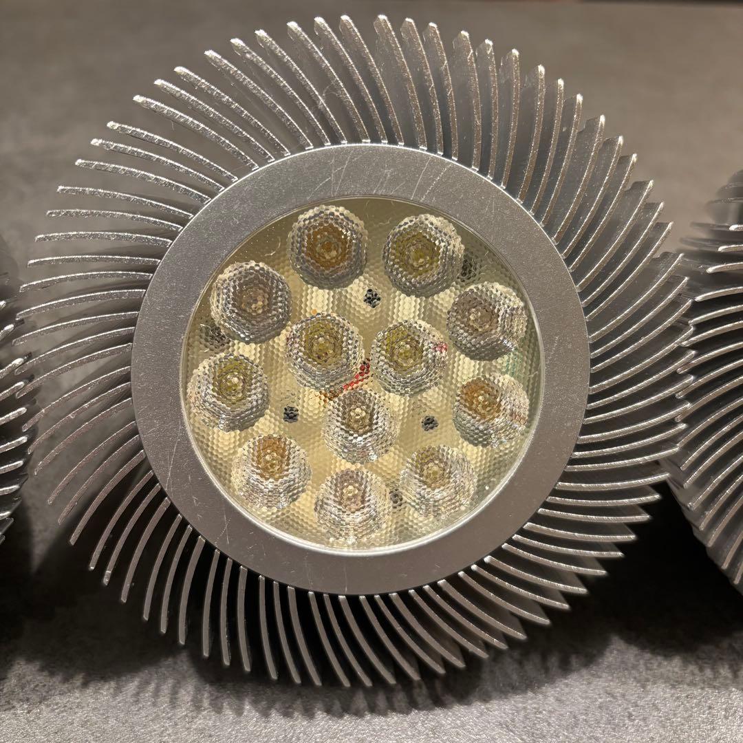 Grassy LeDio グラッシー・レデュオ RS122 FreshWhite