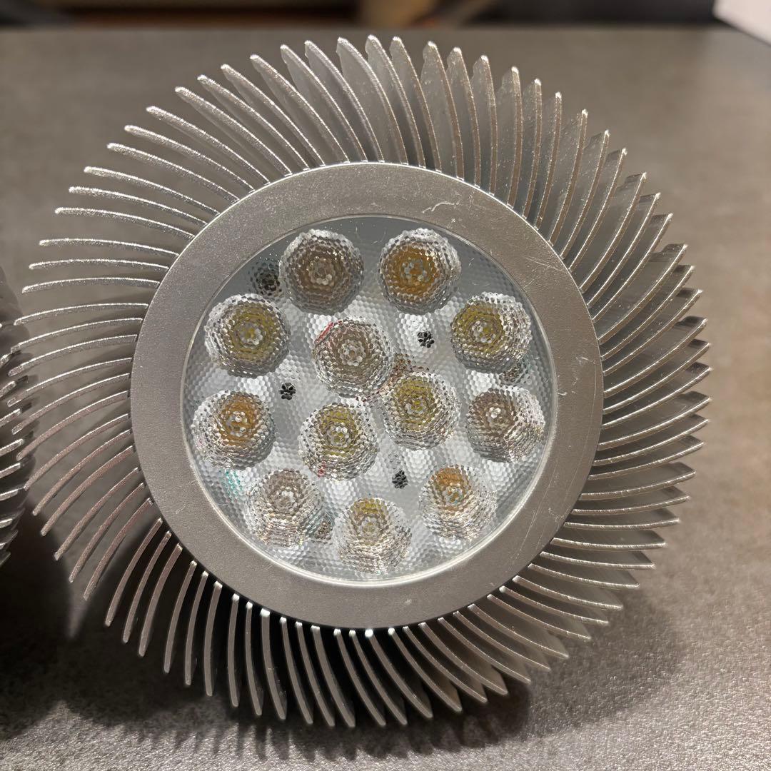 Grassy LeDio グラッシー・レデュオ RS122 FreshWhite