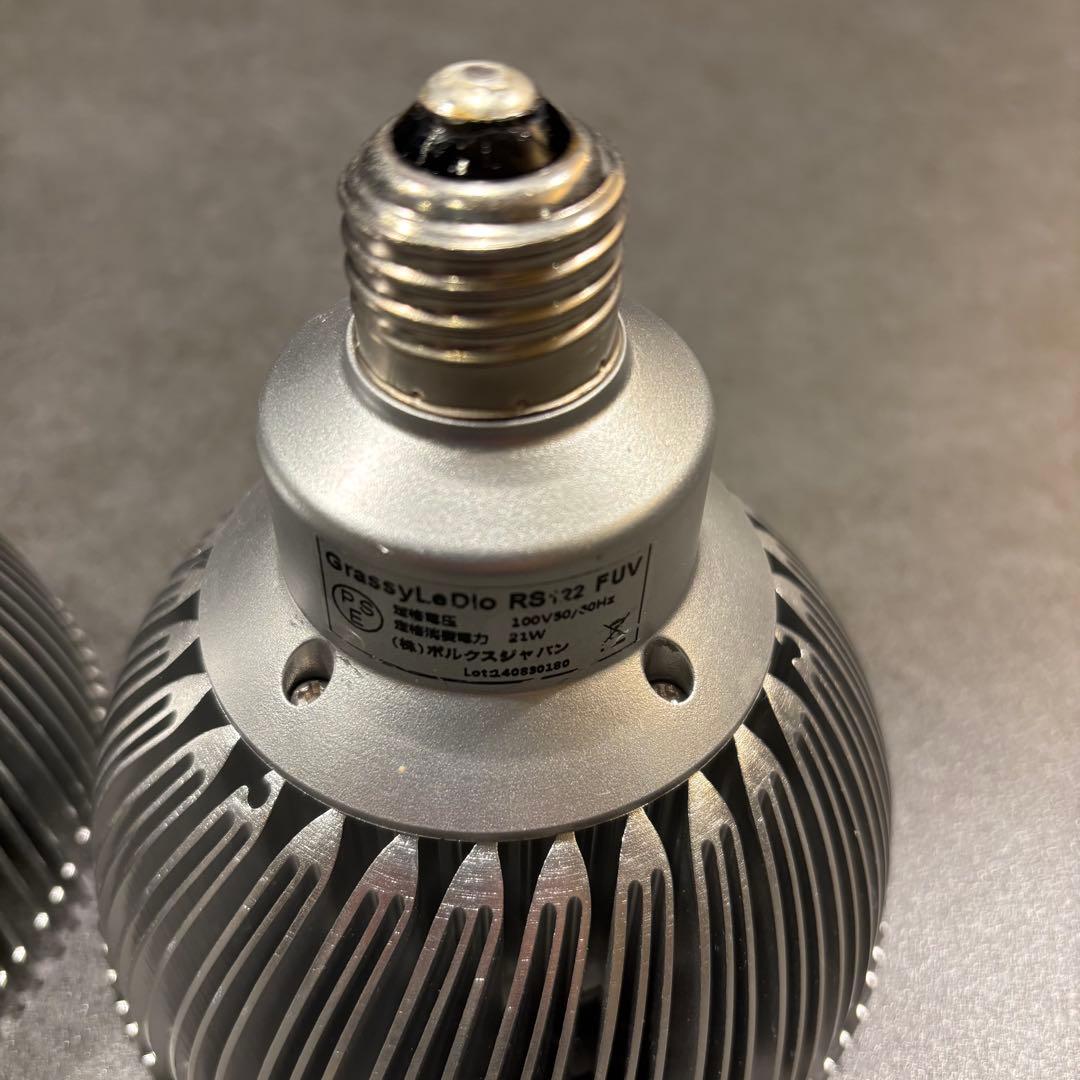 Grassy LeDio グラッシー・レデュオ RS122 FreshWhite