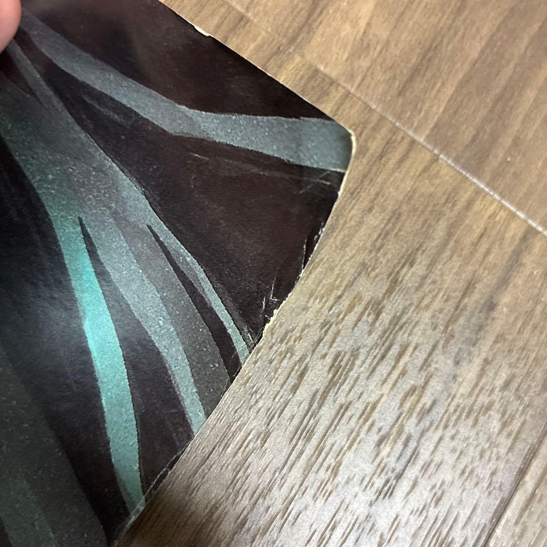 D.Gray-man ディーグレイマン　ポスター　星野桂さん直筆サイン　レア