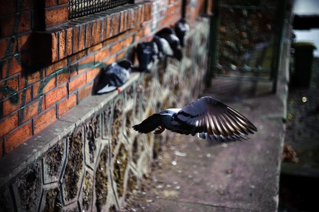 30　未使用　ぐるぐるボケレンズ　 ヘリオス　44-2　M42