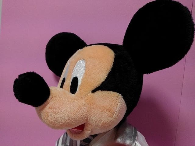 レア☆ミッキーマウス&ミニーマウス☆ウェディングぬいぐるみ☆新品未使用ケース付き