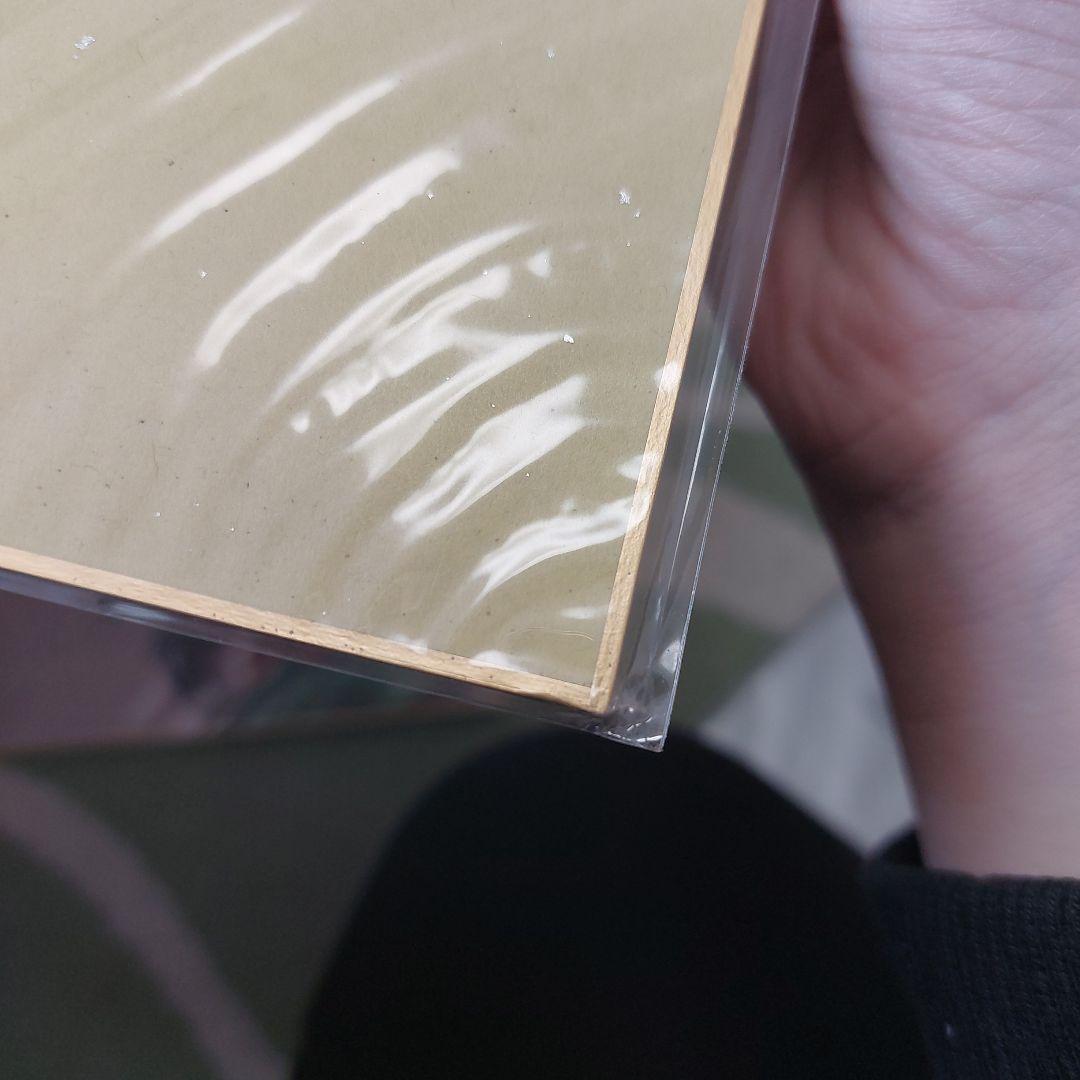 堀越先生 複製サイン色紙 映画特典 応募者全員サービス セット