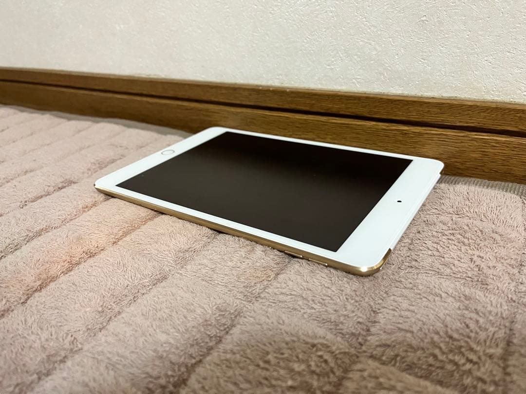 iPad本体 iPad mini 4 16GB