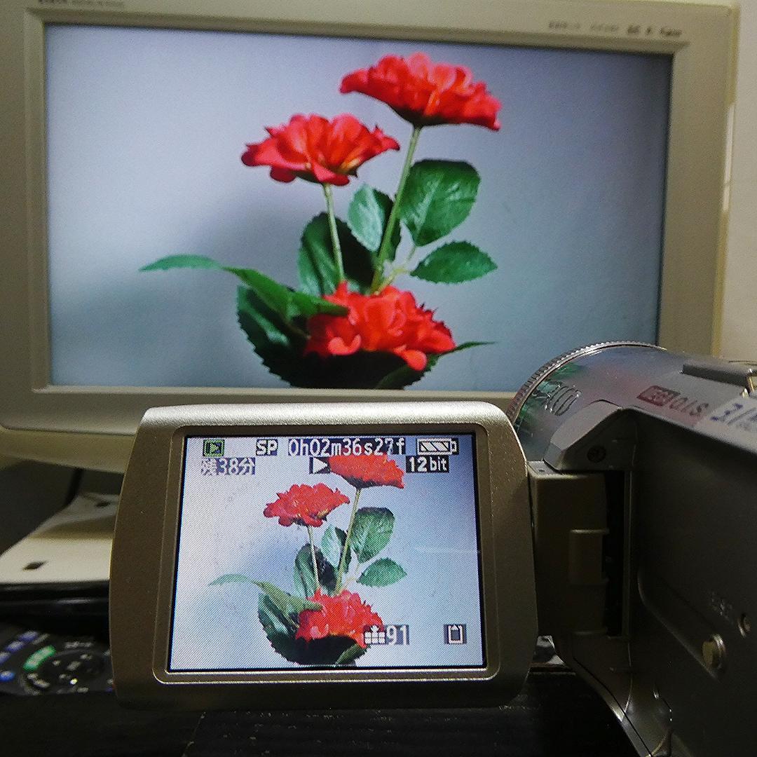 動作良好 パナソニック NV-GS250 MiniDVビデオDVDダビングに最適