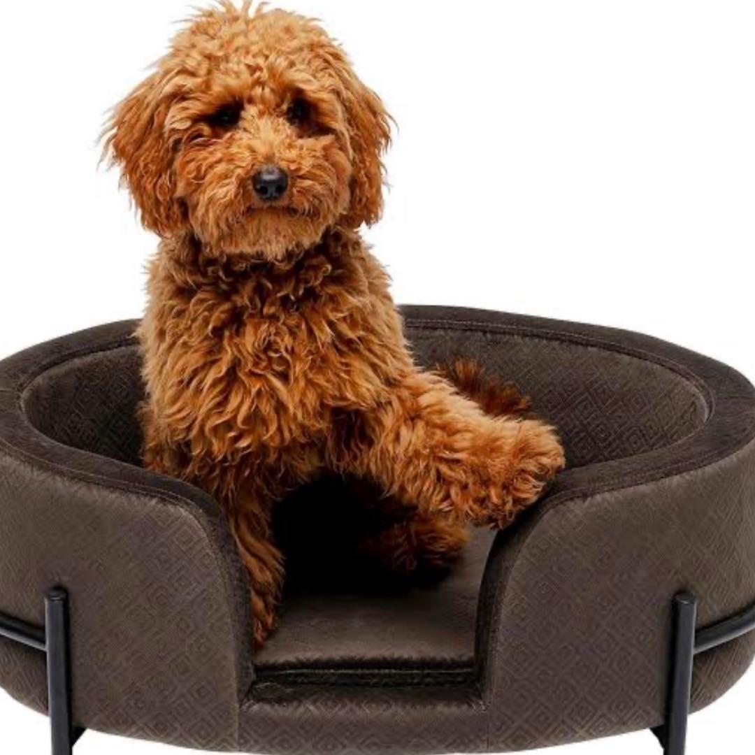 KARE ドリームデイ グレードッグ/キャット ベッド