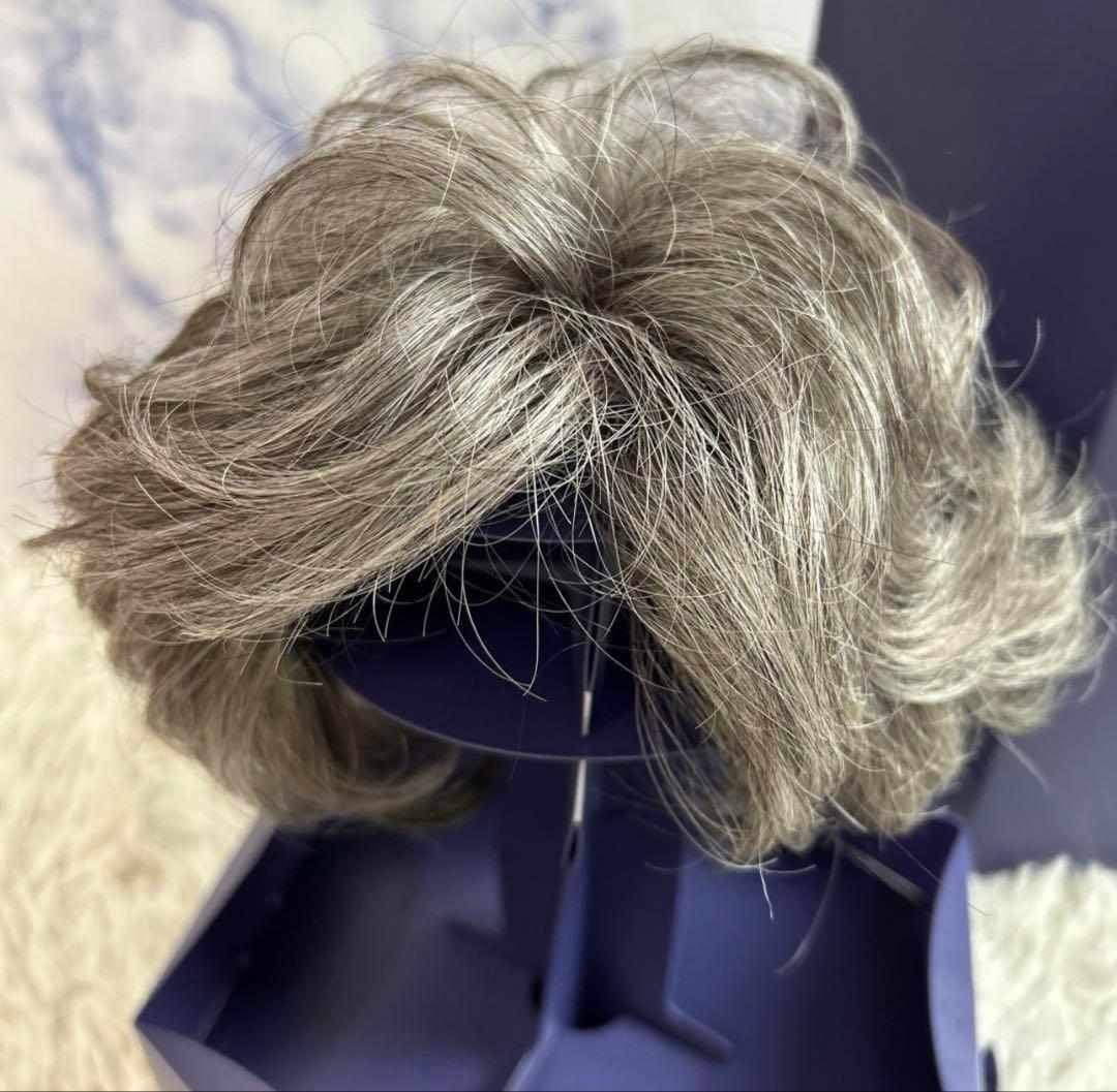 フォンテーヌ　シルバーショートウィッグ 専用ボックス付き