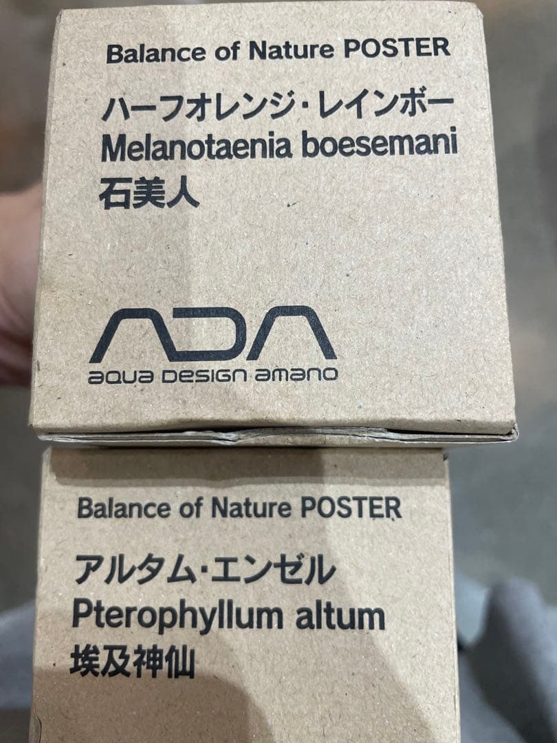 ADAポスター【入手困難レア】