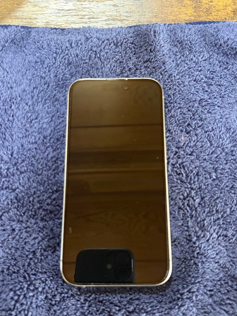 極美品　Apple iPhone 15Pro 本体