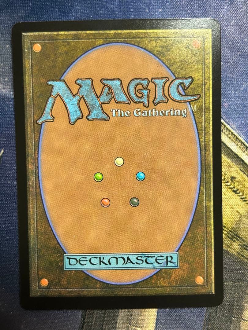 MTG 行き届いた書庫　日本語版　ボーダーレスfoil 4枚