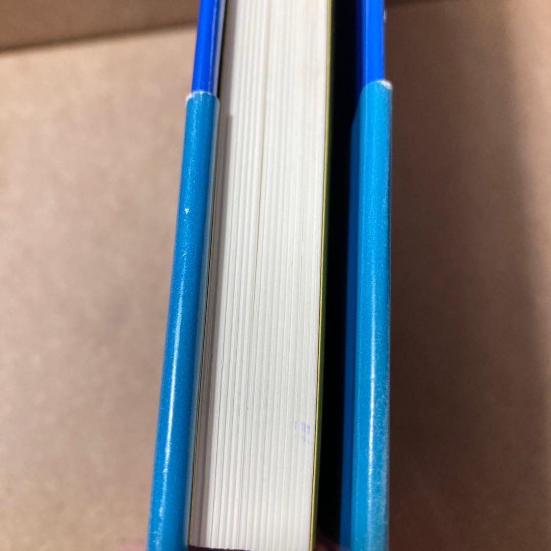 唯識の解釈学 : 『解深密経』を読む　袴谷 憲昭