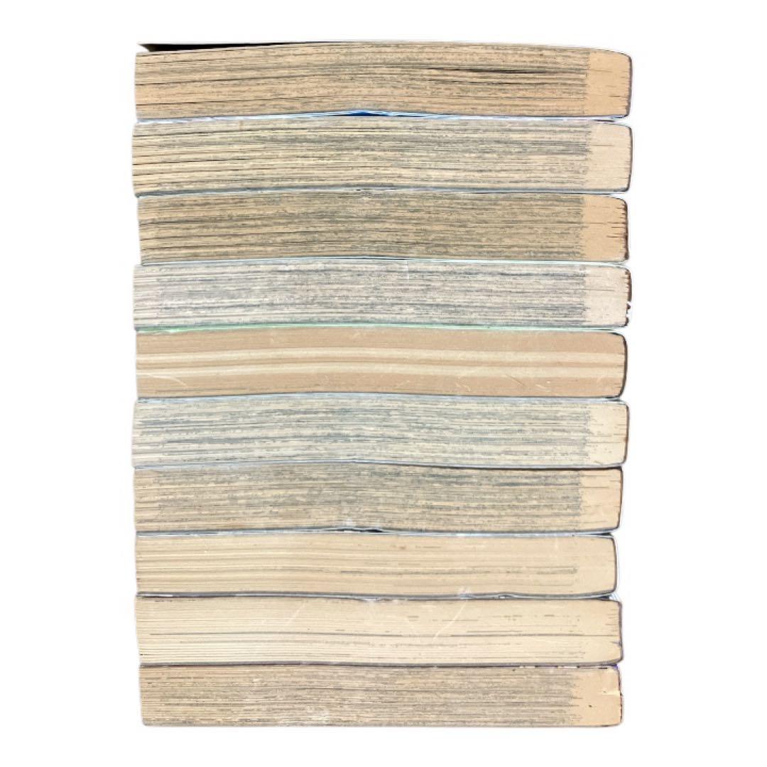 【希少】　ジョジョの奇妙な冒険　スターダストクルセイダーズ　3部　英語版