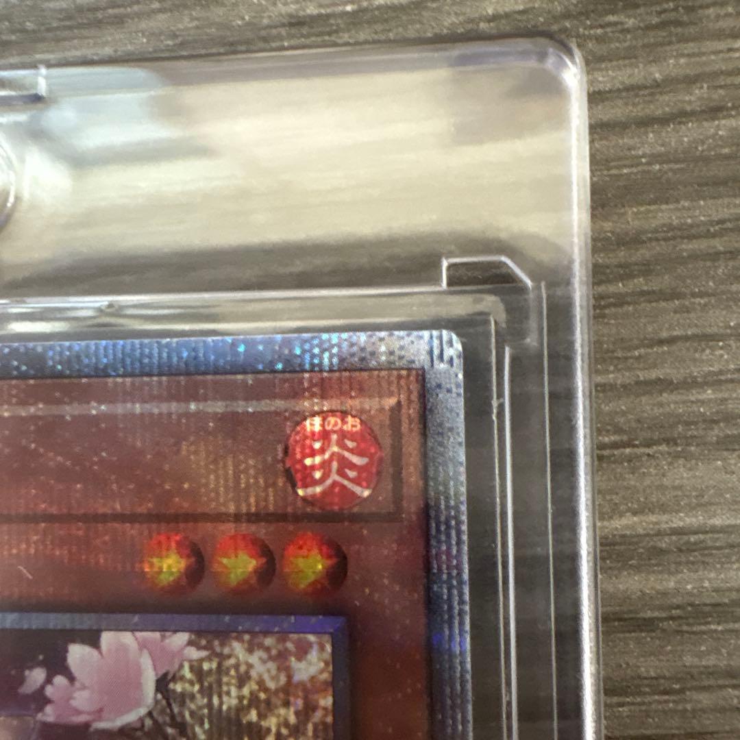 灰流うらら はるうらら 25th QCAC-JP050 遊戯王