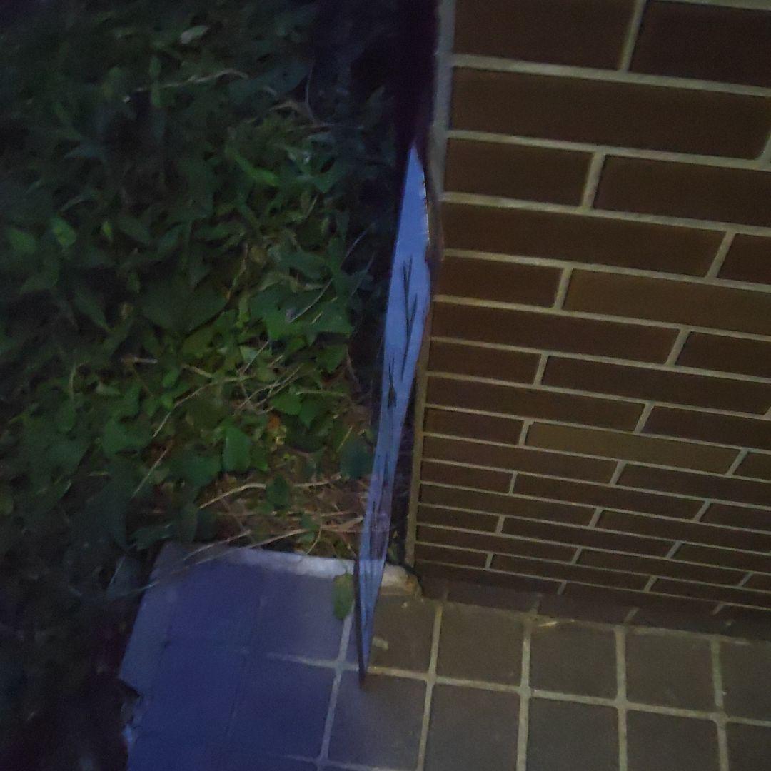 【鉄道サボ】（表）上野（急行ゆけむり）水上（裏）上野⇔新前橋