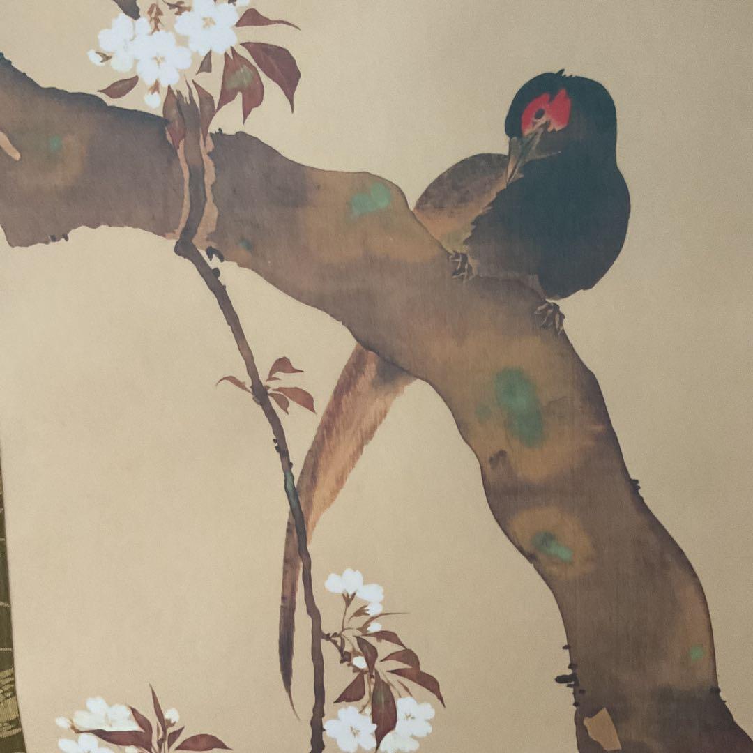 酒井抱一筆 桜花雉子図 復刻版 1500部内741番 桐箱付