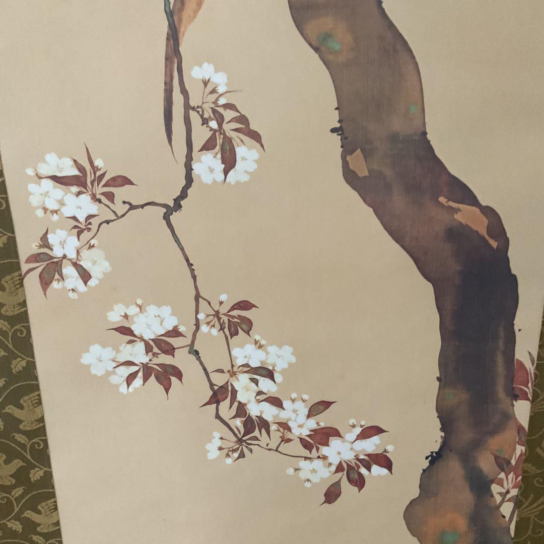 酒井抱一筆 桜花雉子図 復刻版 1500部内741番 桐箱付