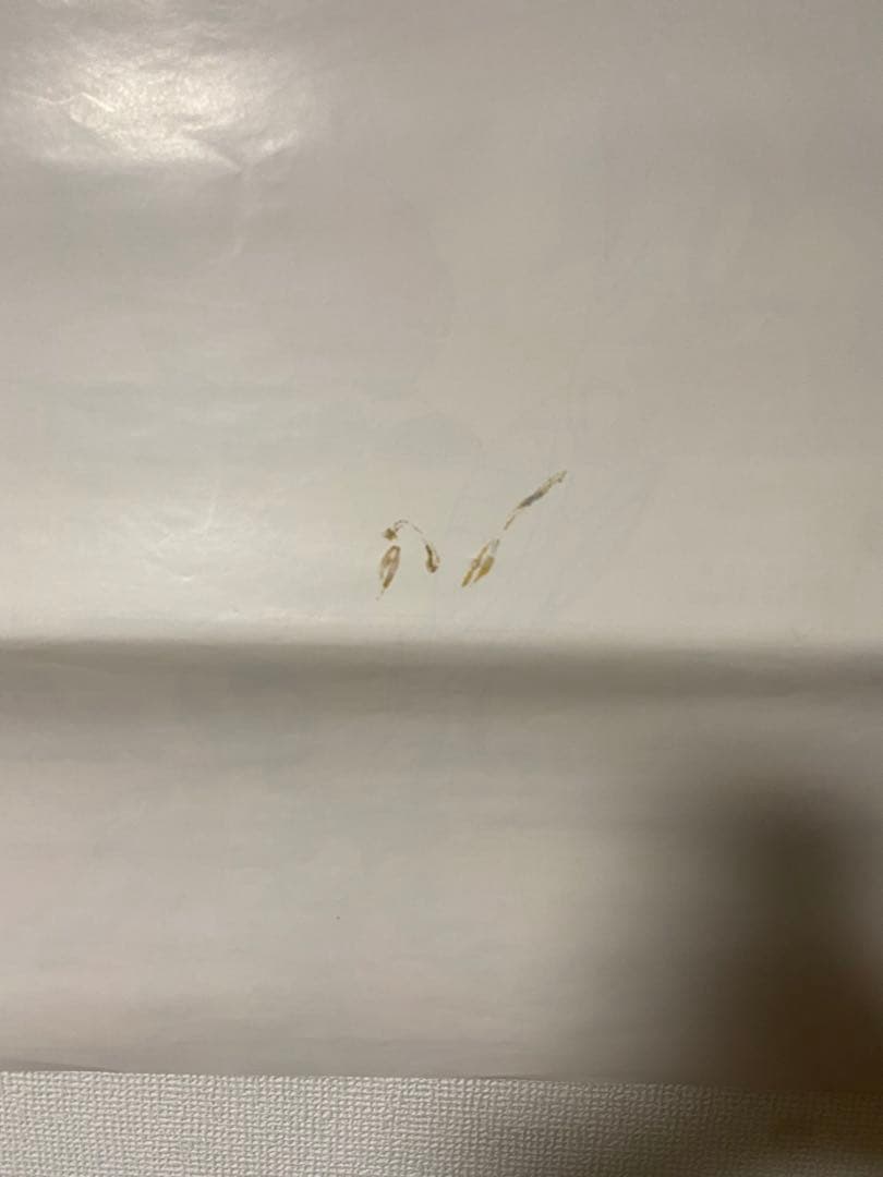 当時物 2枚セット 聖闘士星矢 ドラゴンボール アニメフェア B2ポスター