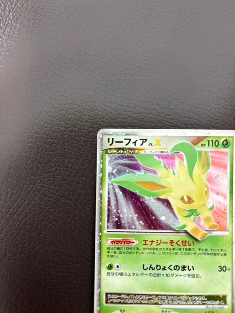 リーフィア ☆ 拡張パック 夜明けの疾走 DP4