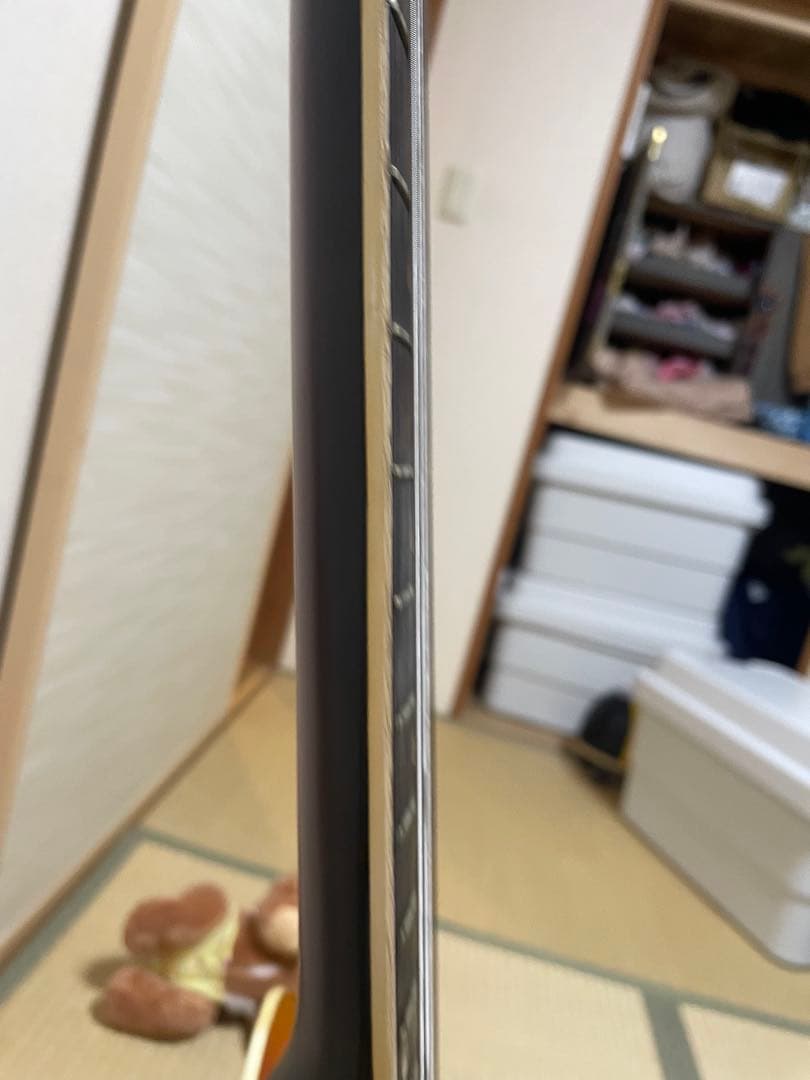 セミアコースティックギター