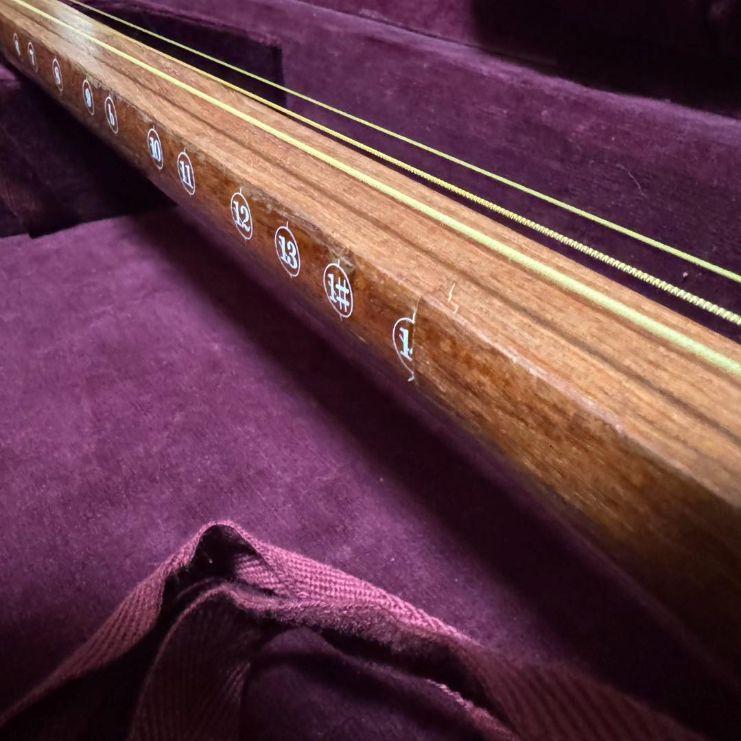 初心者オススメ　中棹　三味線　セット　撥　胴かけ　駒　ハードケース　花梨　丸打胴