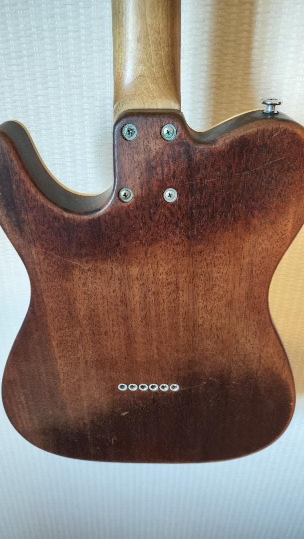 【Bacchus】T-HOLLOW テレキャスター HandmadeSeries